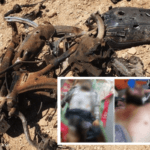 ארה"ב: מנהיג דאעש בסוריה חוסל בתקיפת מל"ט