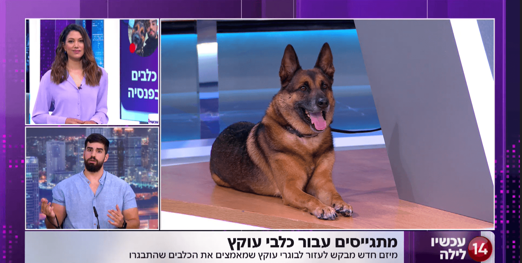 חבר לכל החיים: הכירו את לוחמי יחידת עוקץ שמאמצים את כלביהם