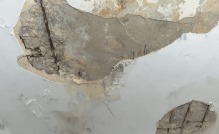 "צריך לרדוף אחריהם כל הזמן": התנאים המחפירים בדירות 'עמידר'