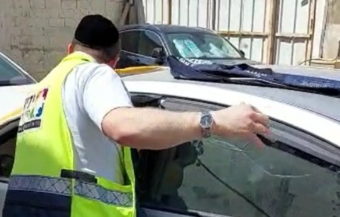 בדרך כלל אלו תינוקות, הפעם - חתול ננעל ברכב