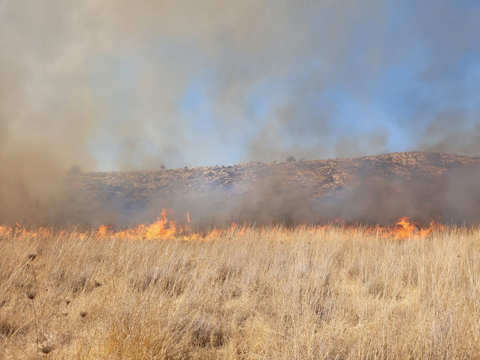 שריפה בשמורת הדום בעקבות פעילות צבאית לא מבוקרת