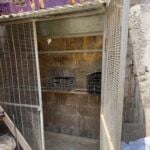 לאחר שסירב לעבוד בחינם: דר רחוב נחטף, נכלא ועבר התעללות ע"י עבריינים