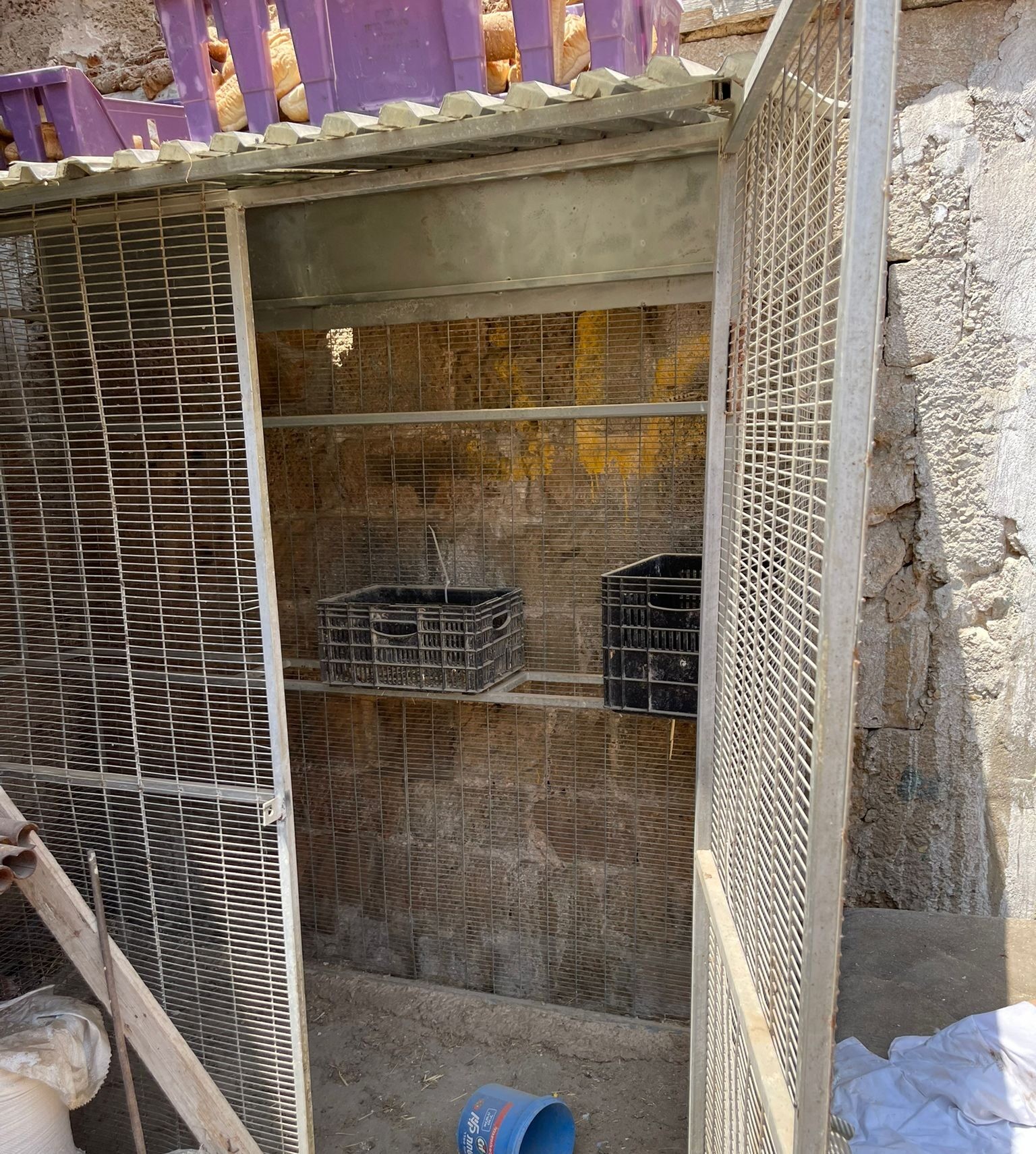 לאחר שסירב לעבוד בחינם: דר רחוב נחטף, נכלא ועבר התעללות ע"י עבריינים
