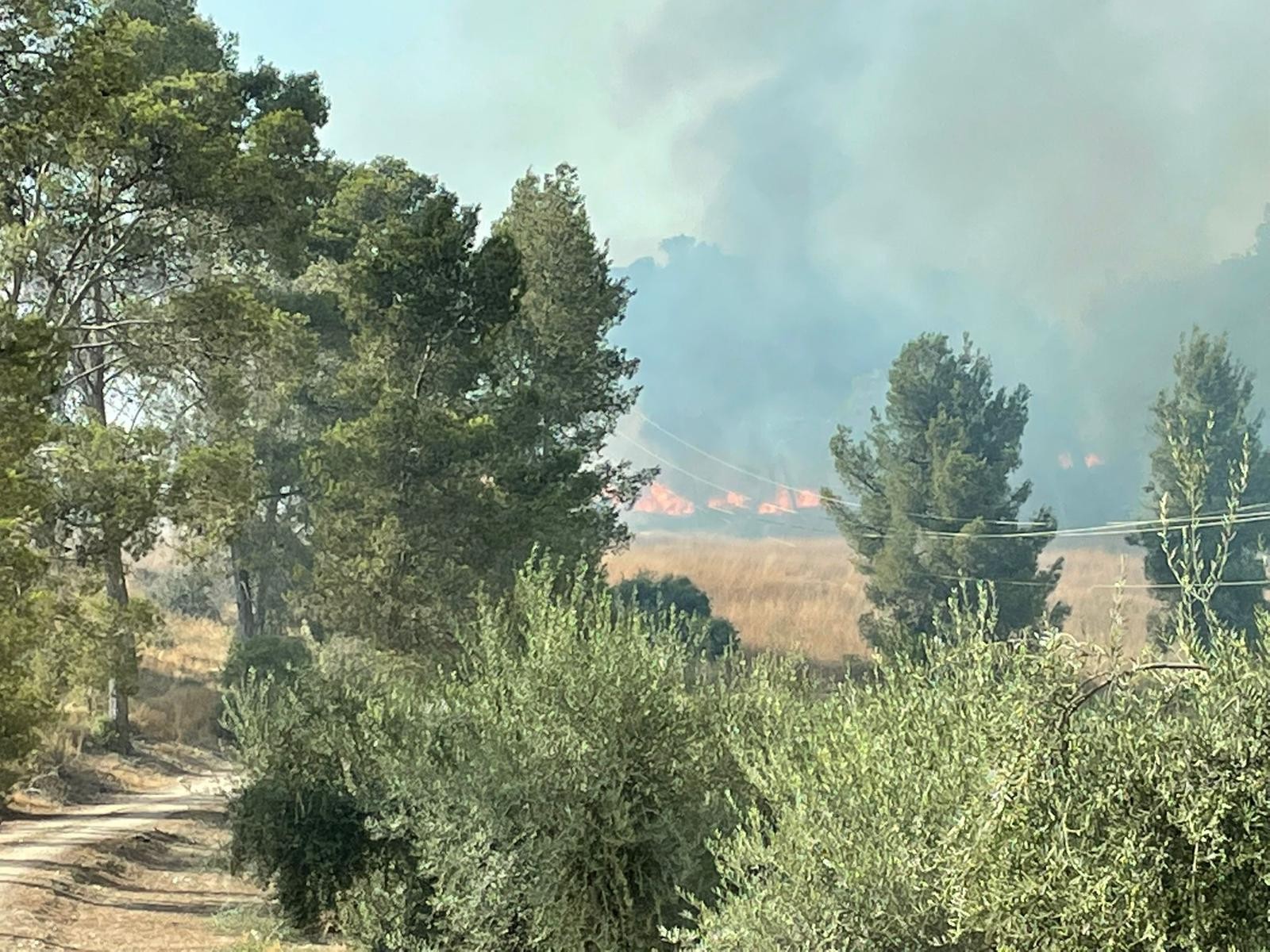 שוב: שריפת ענק פרצה סמוך לבית שמש - הושגה שליטה על האש