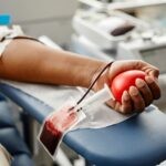 פרשת שבוע: אם היו מציעים לכם לאכול דם, הייתם מתלבטים?