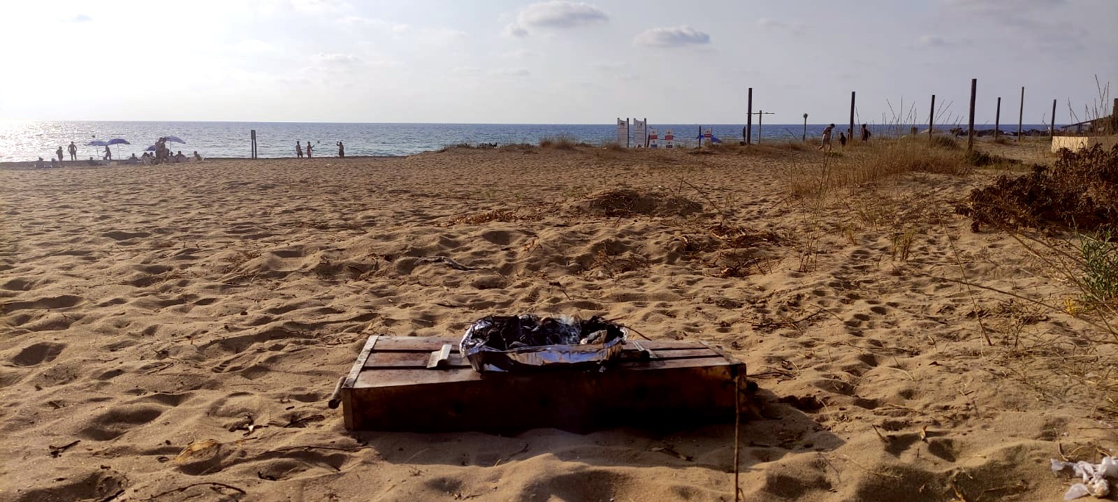  קרדיט: נטלי פורטי