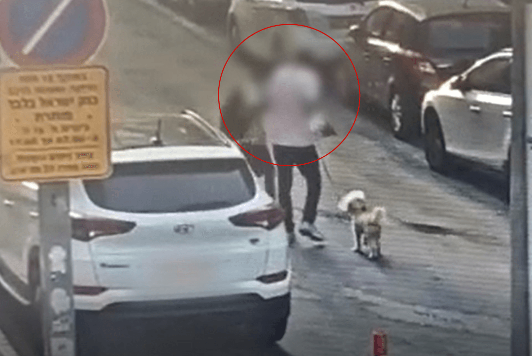 מטריד: תושב יפו מסתובב בתל אביב ותוקף אנשים סתם | תיעוד