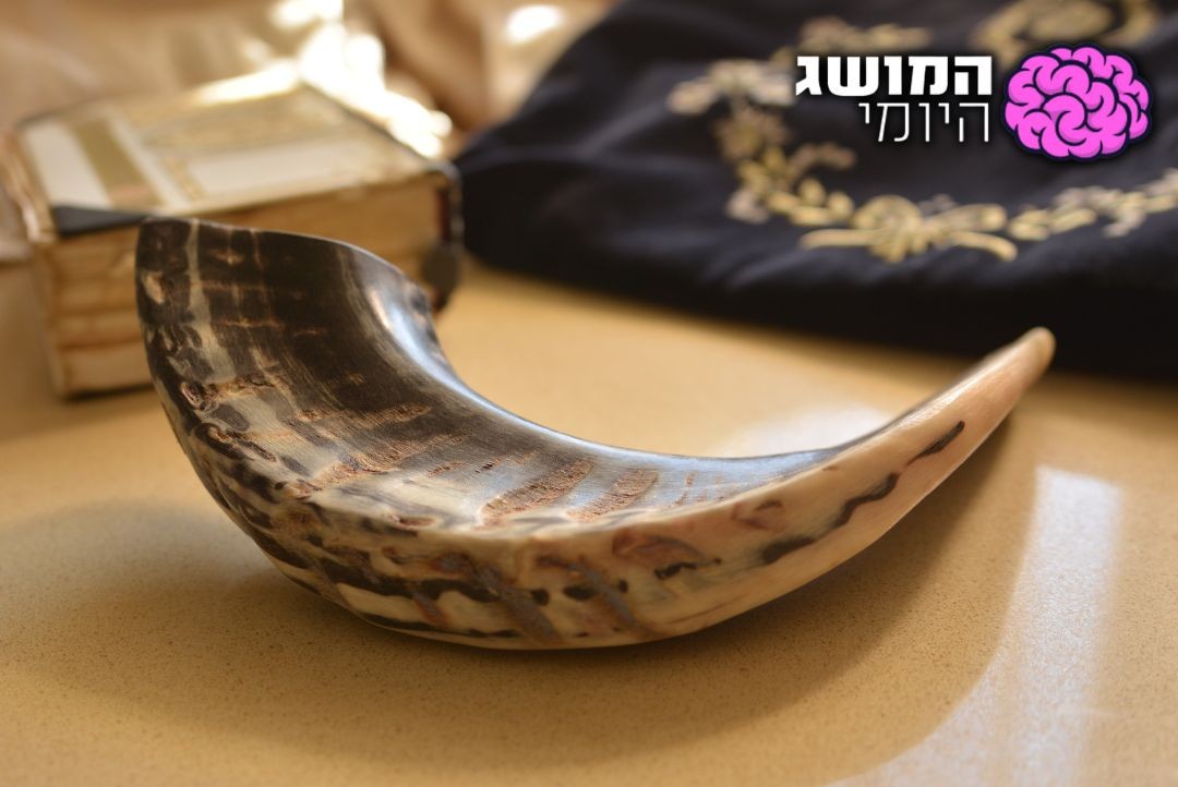 צילום: שאטרסטוק