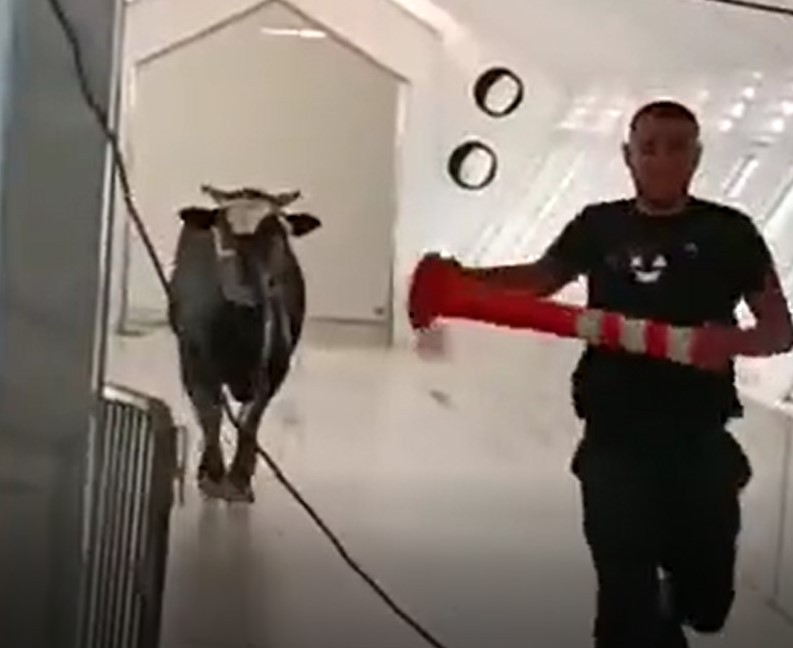 צילום מסך. שימוש לפסי סעיף 27א לחוק זכויות יוצרים