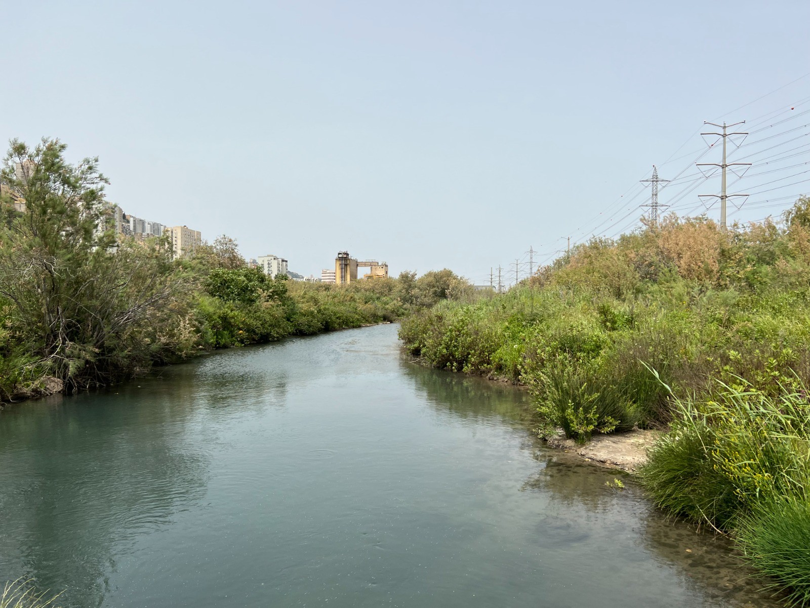 עכשיו טבע: 2.5 מיליון ש"ח יושקעו בשימור, שיקום והנגשת נחל סעדיה