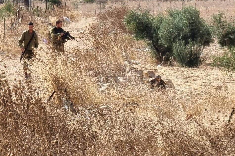 מחבל ניסה לחטוף נשק מלוחם סמוך לשכם - הכוח ירה באוויר ולכד אותו | תיעוד