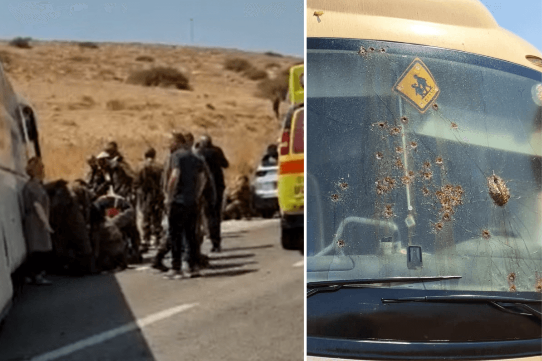 קרדיט: ארגון נהגי האוטובוסים, צילום מסך מהסרטון