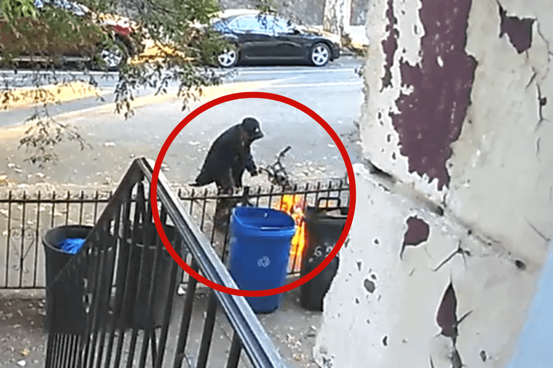 צילום: צילום מסך מתוך REDDIT, שימוש לפי סעיף 27א' לחוק זכויות יוצרים