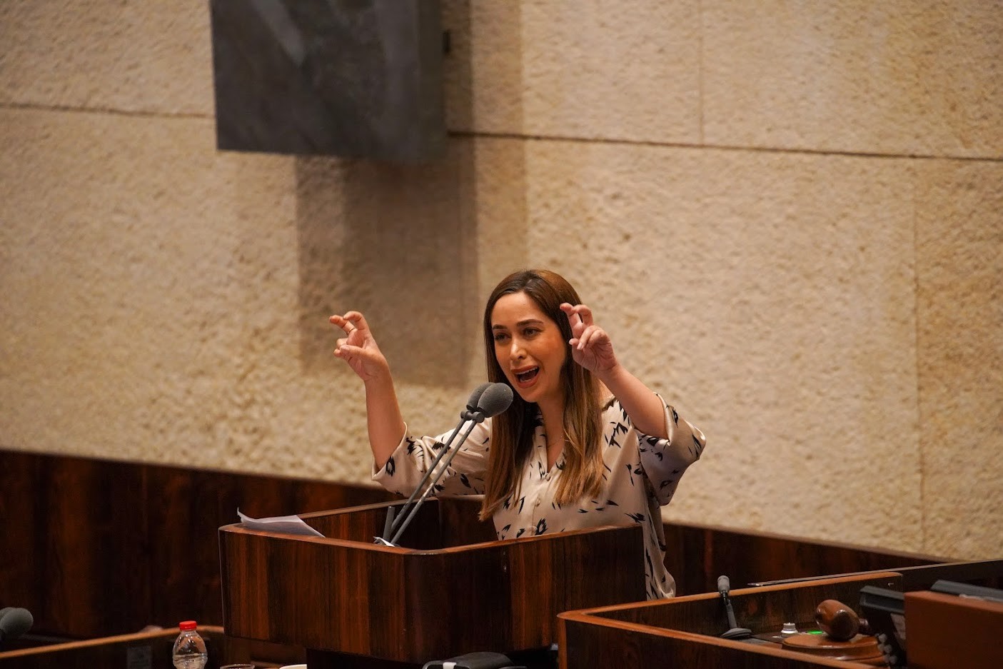 צילום: דוברות הכנסת - דני שם טוב