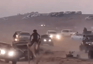 הנגב הפרוע: עשרות רכבים וגמלים במרוץ המוני סמוך לצאלים | צפו בתיעוד המטריד