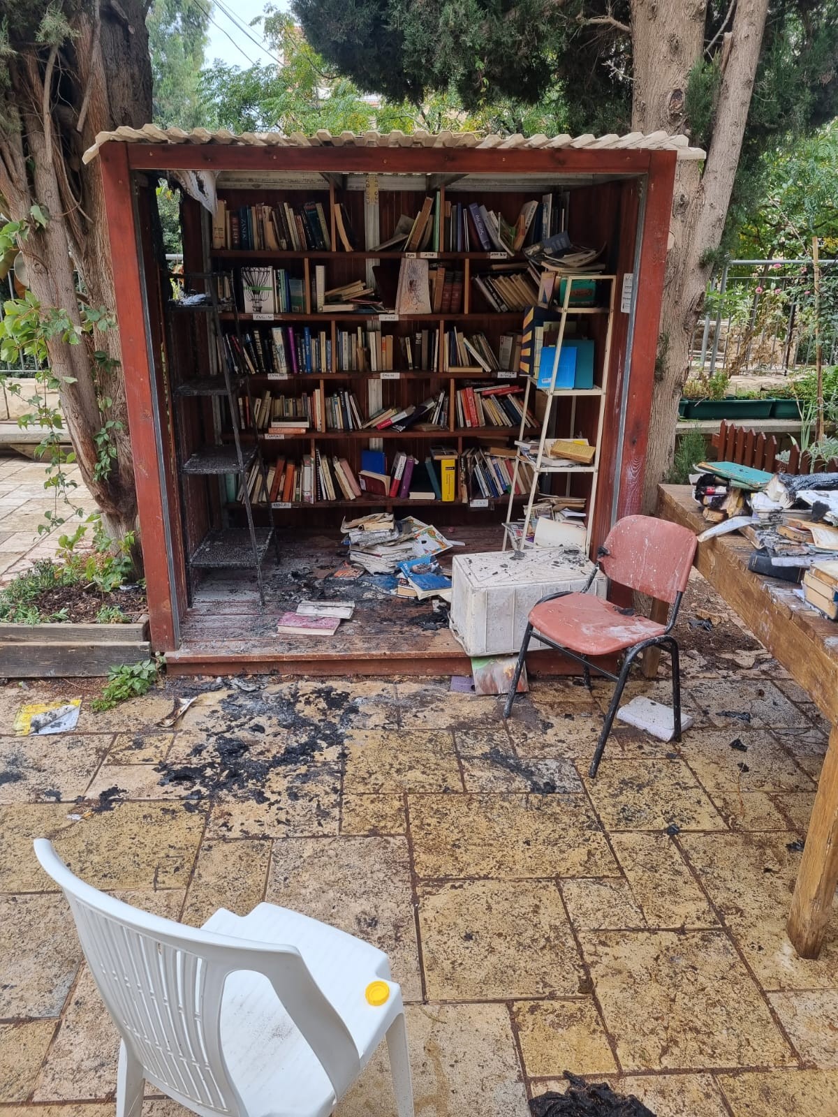 צילום: דוברות המשטרה