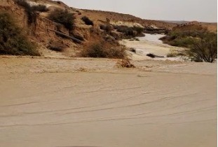 החורף הגיע גם לדרום: תיעודים מהשיטפונות בנחלי ירוחם