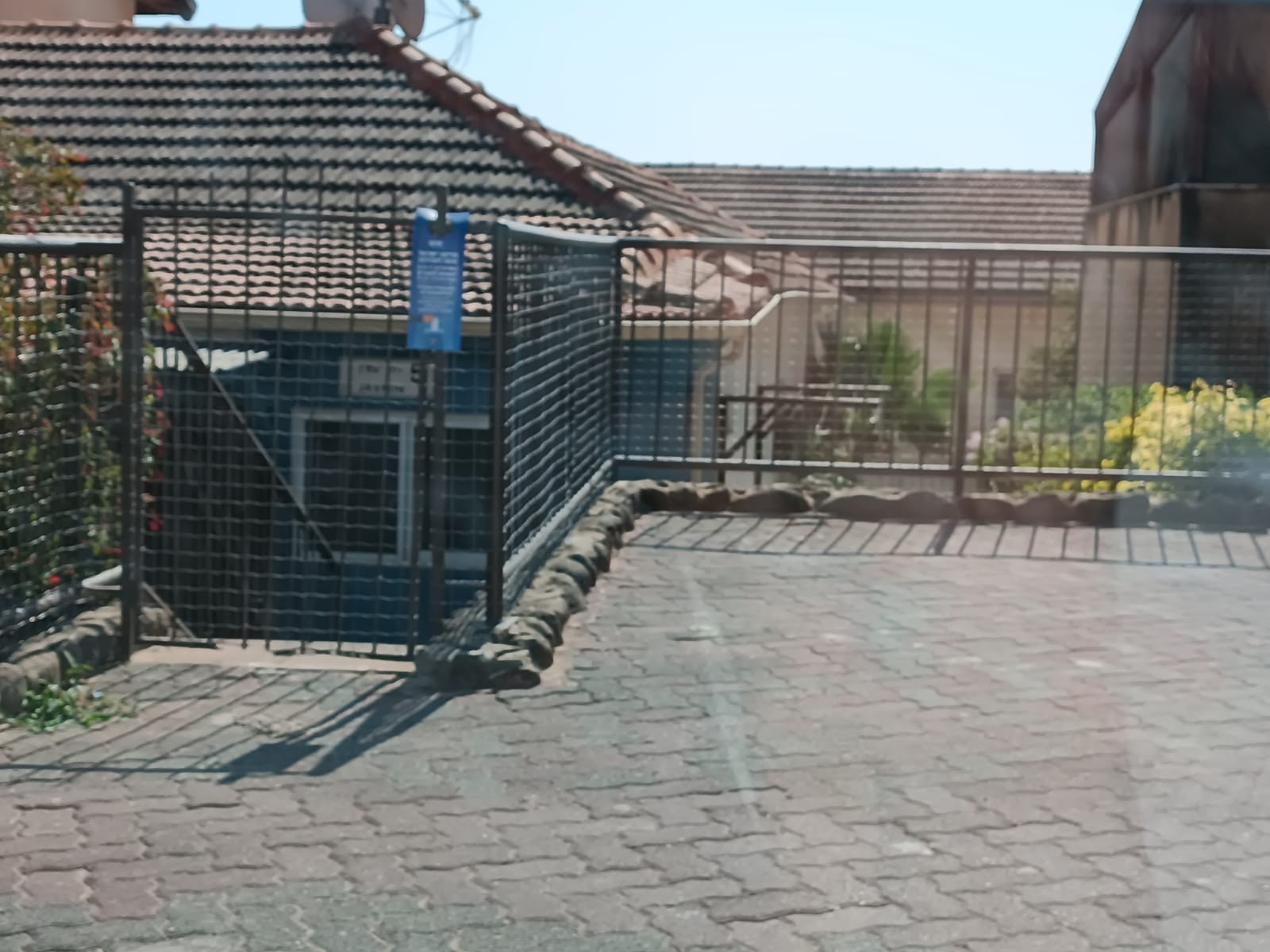הקמפיין בקריית שמונה
