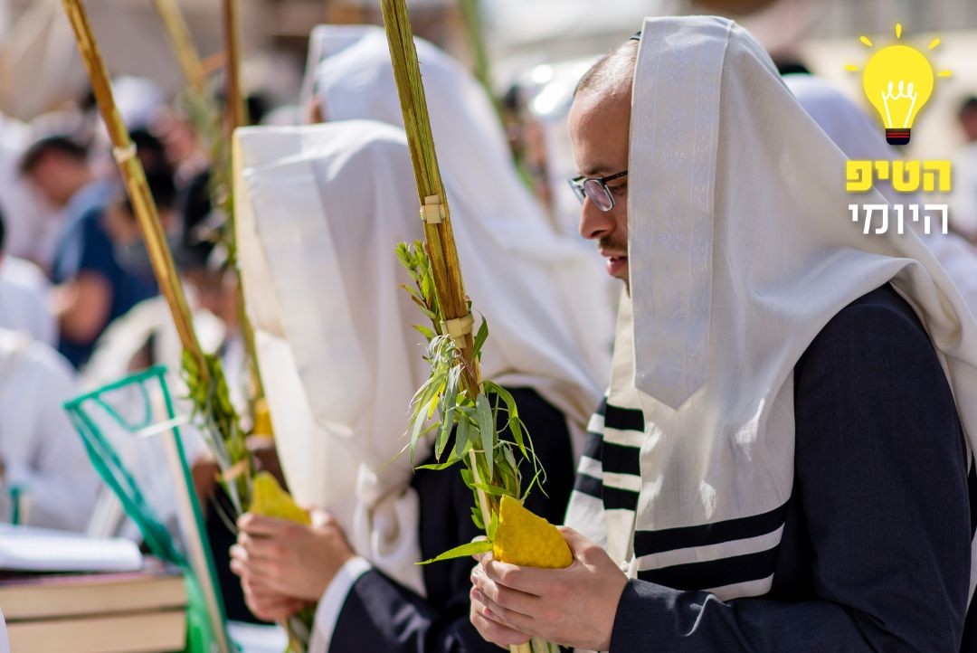 לא רק לנענע: כך תנצלו כל אחד מארבעת המינים בשביל להיות יותר בריאים