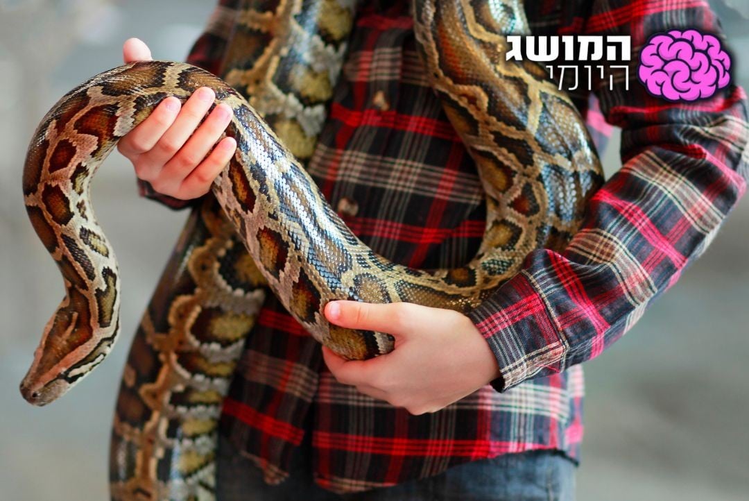 4 יריות בצד הדרך: כך נרצח 'מלך הנחשים' יעקב סלה