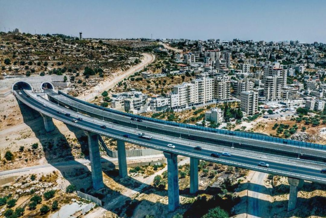 צילום: שי שחר