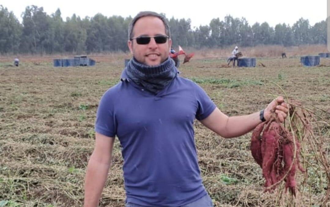 פיתוח כחול לבן: הישראלי שהמציא את הבטטה מחדש