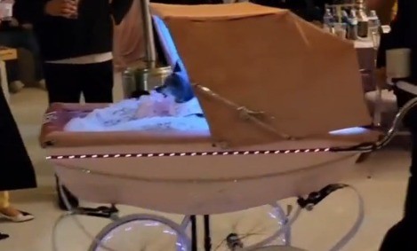 יש כסף, אז מבזבזים: הקומיקאי שערך יום הולדת לכלבה ב-100 אלף דולר
