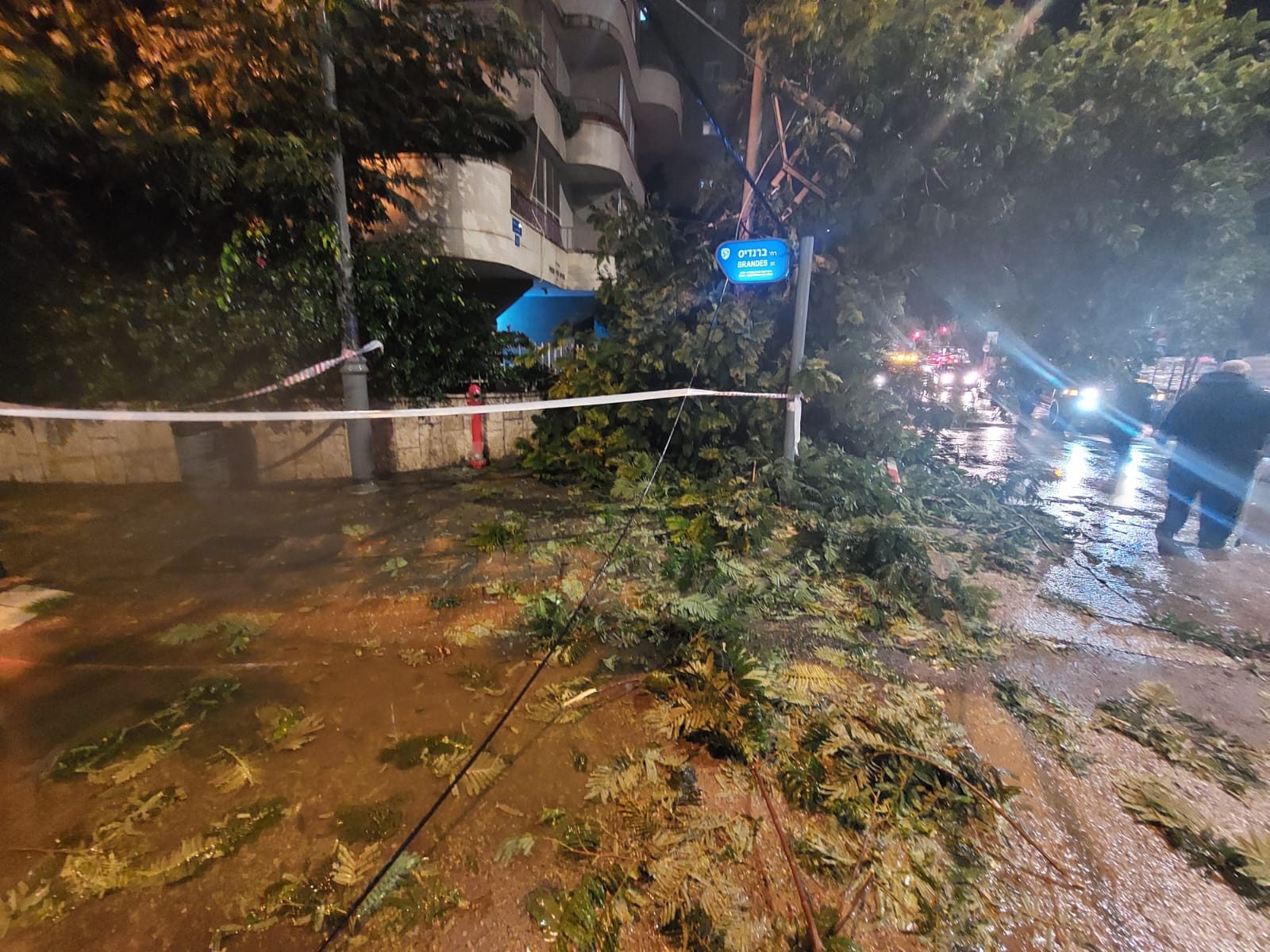 גבר כבן 29 במצב קל לאחר שנפגע מכבלים שנקרעו כתוצאה מקריסת עץ בראשל"צ