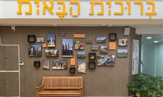 האקדמיה ללשון נגד ההפיכה הרב מגדרית בשפה העברית
