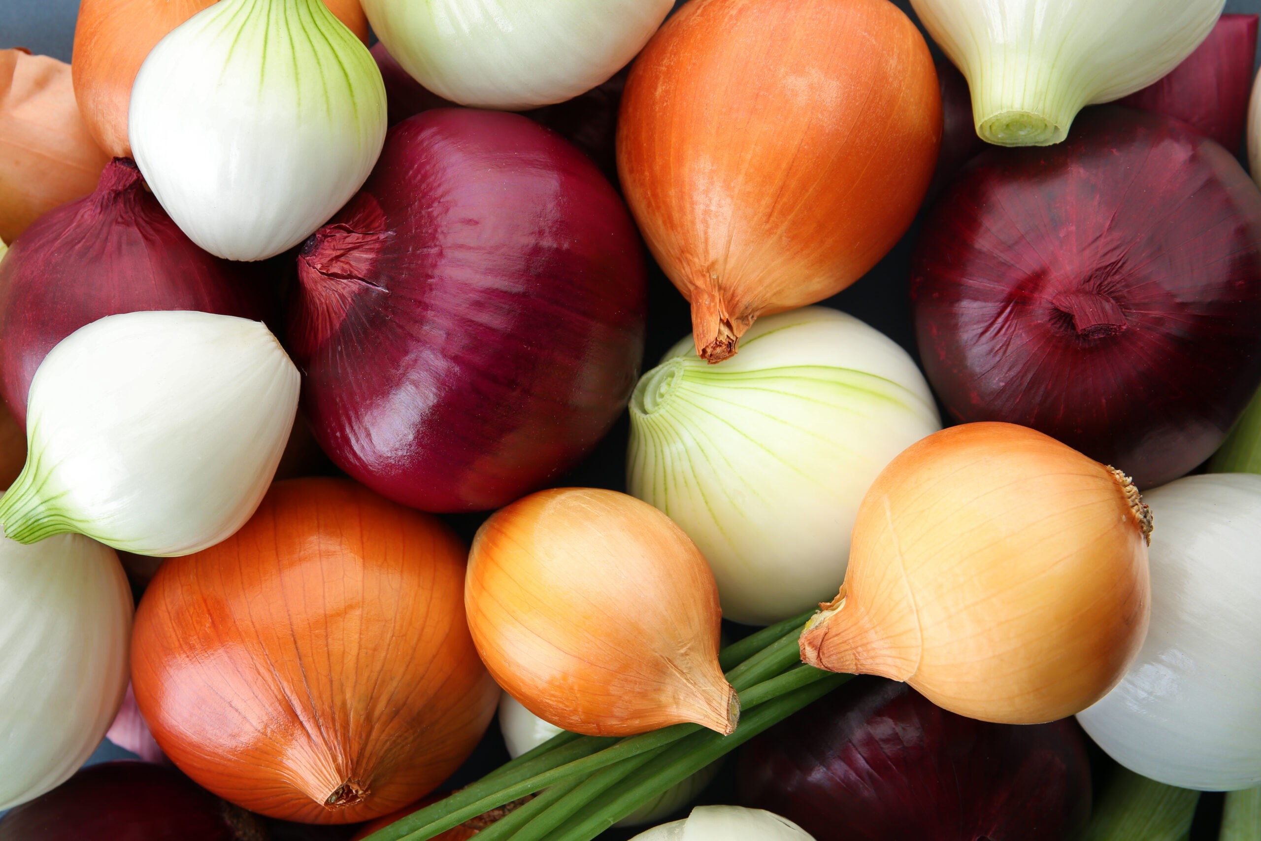 יותר יקר מבשר: בצל אדום ולבן | צילום: shutterstock