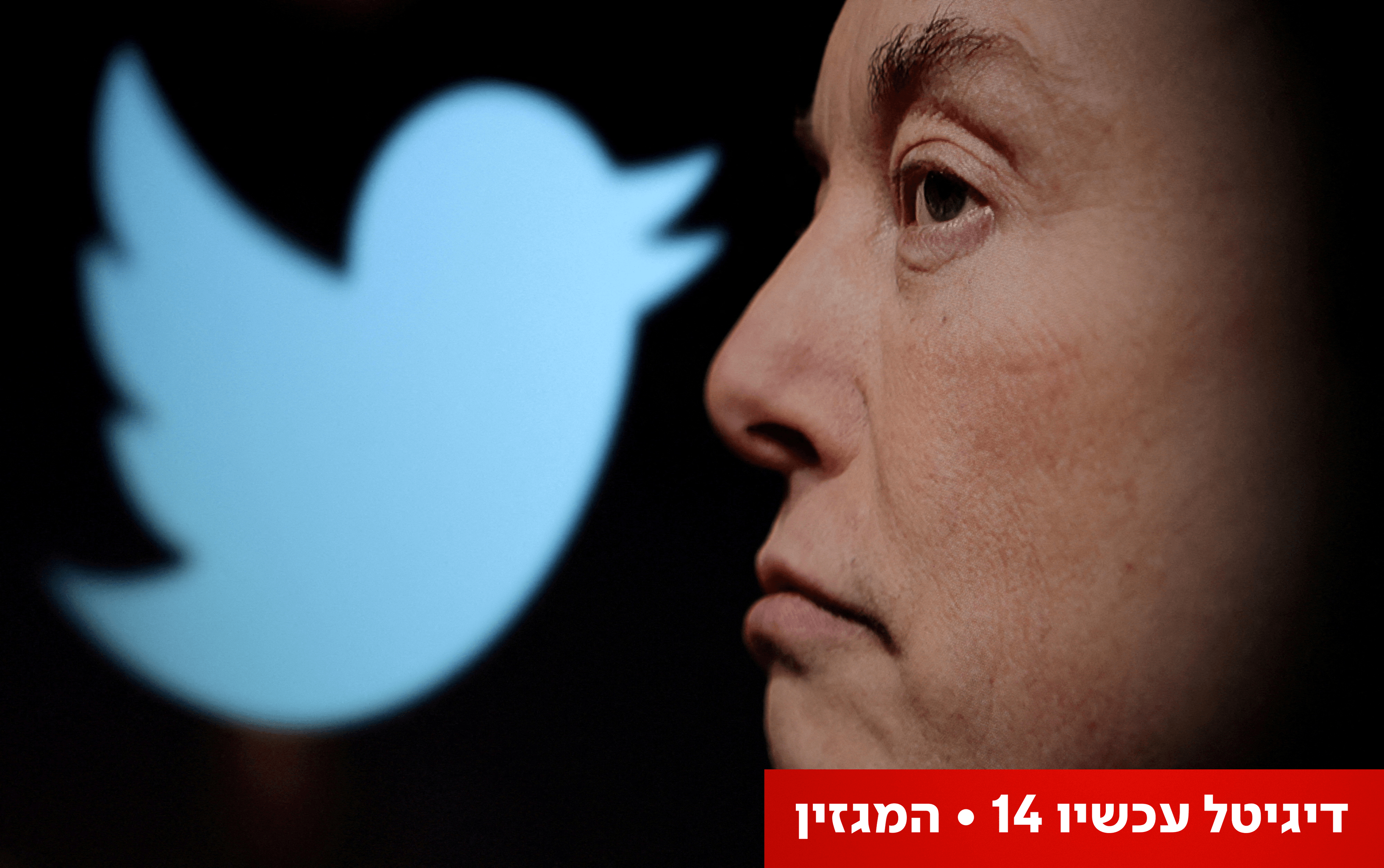 אילון מאסק. צילום: רויטרס