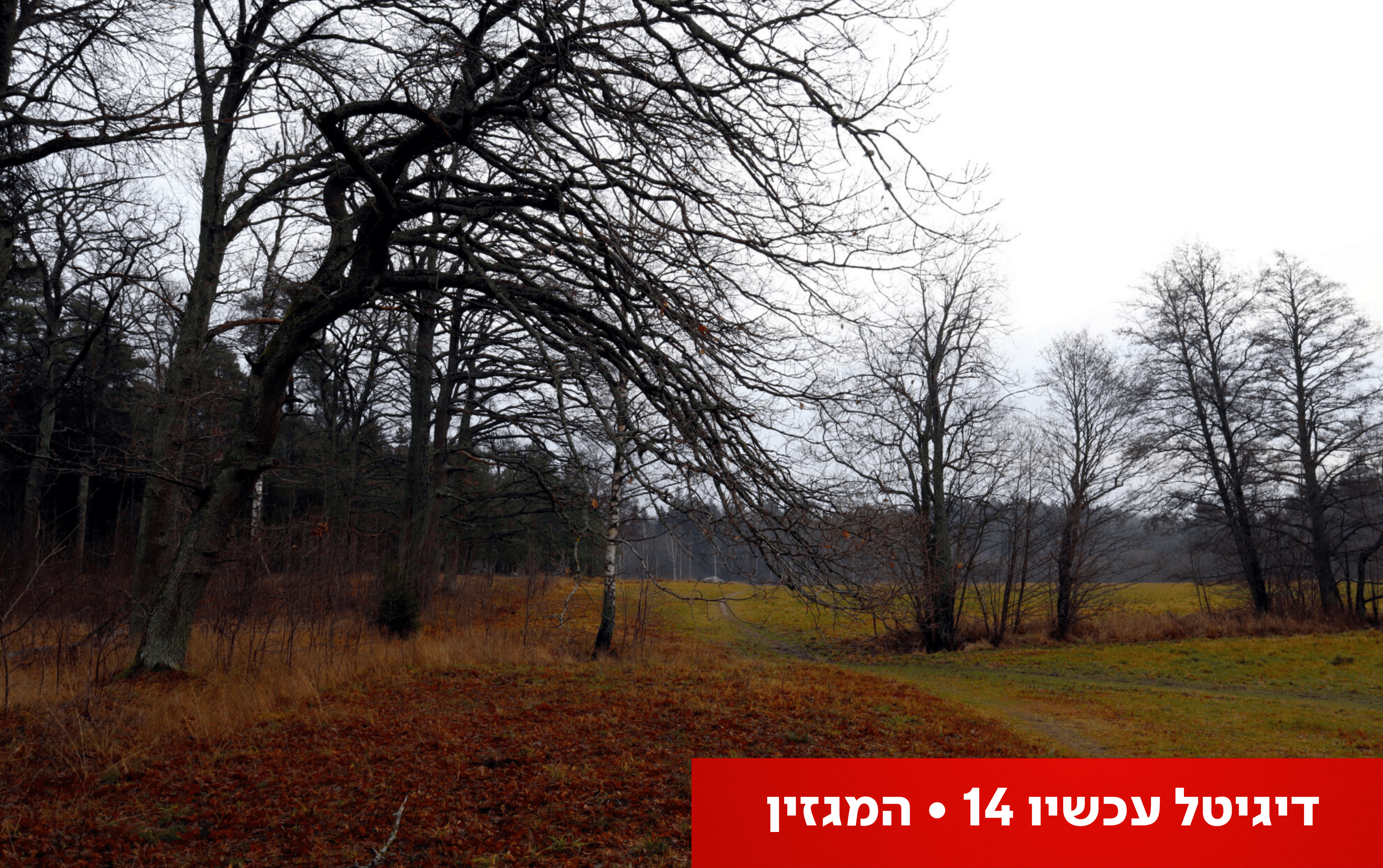 המערכת החורפית סוף סוף הגיעה. איפה היא הייתה עד עכשיו?
