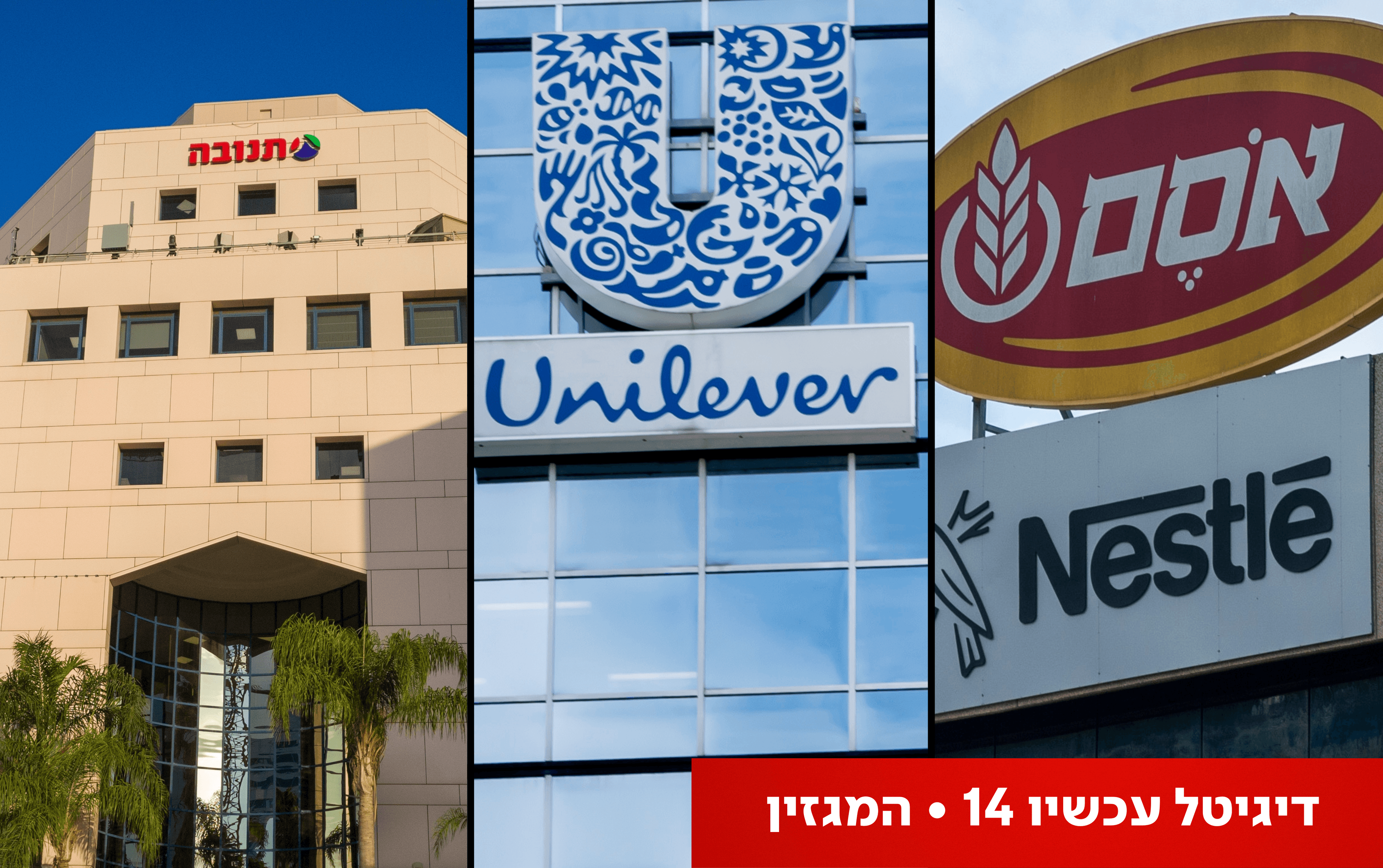 לישראלים יש עוד הרבה מה ללמוד: המאבק מול יצרניות ויבואני המזון נועד לכישלון