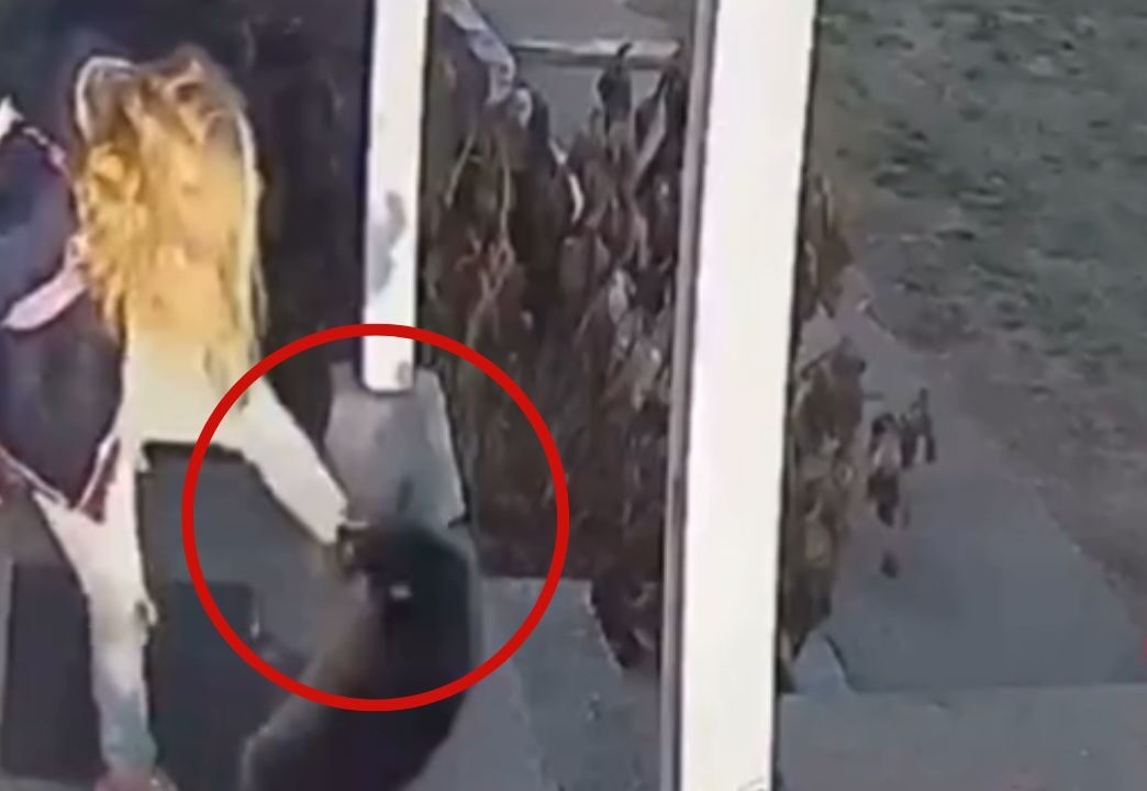 הדביבון ננעל על רגלה של הילדה. שימוש לפי סעיף 27א' לחוק זכויות יוצרים