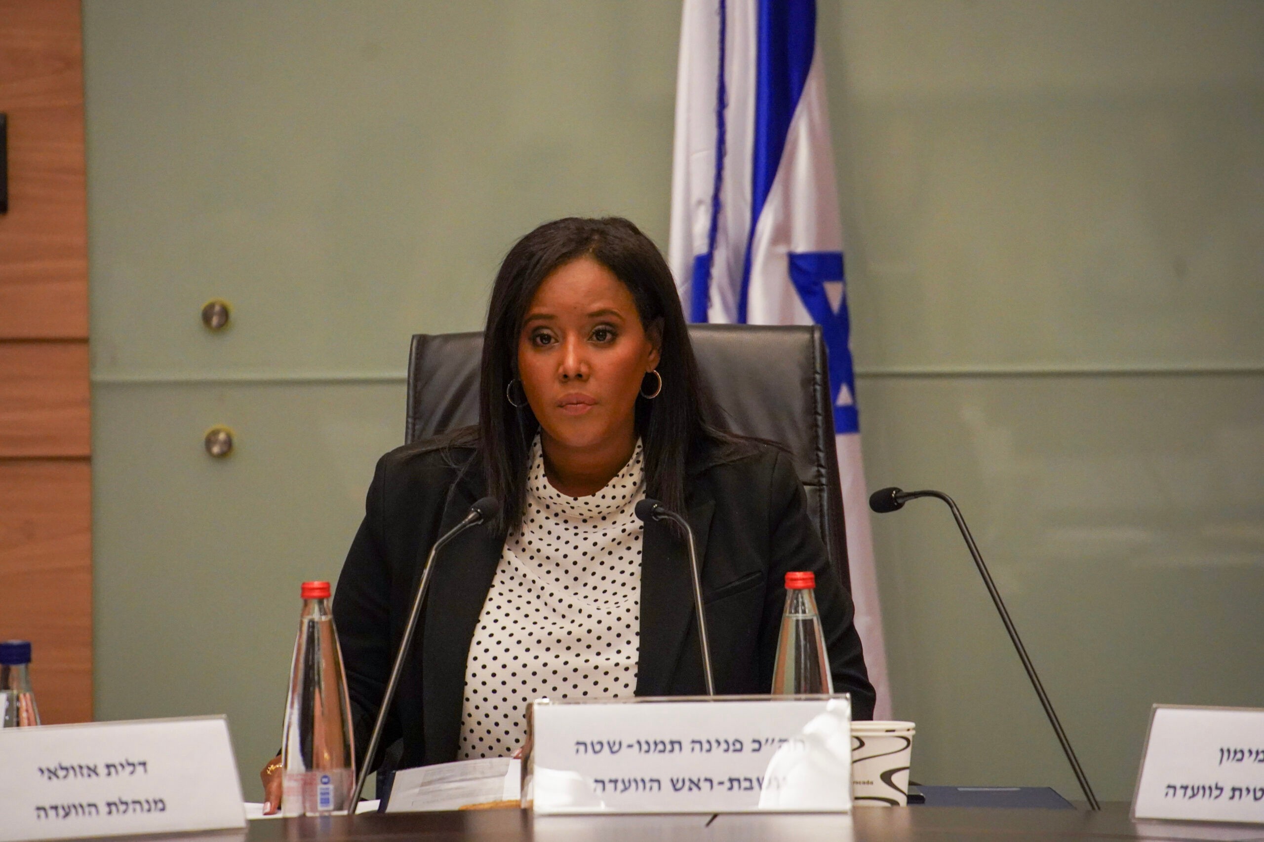 יו"ר הוועדה ח"כ פנינה תמנו שטה | צילום: דוברות הכנסת, דני שם טוב
