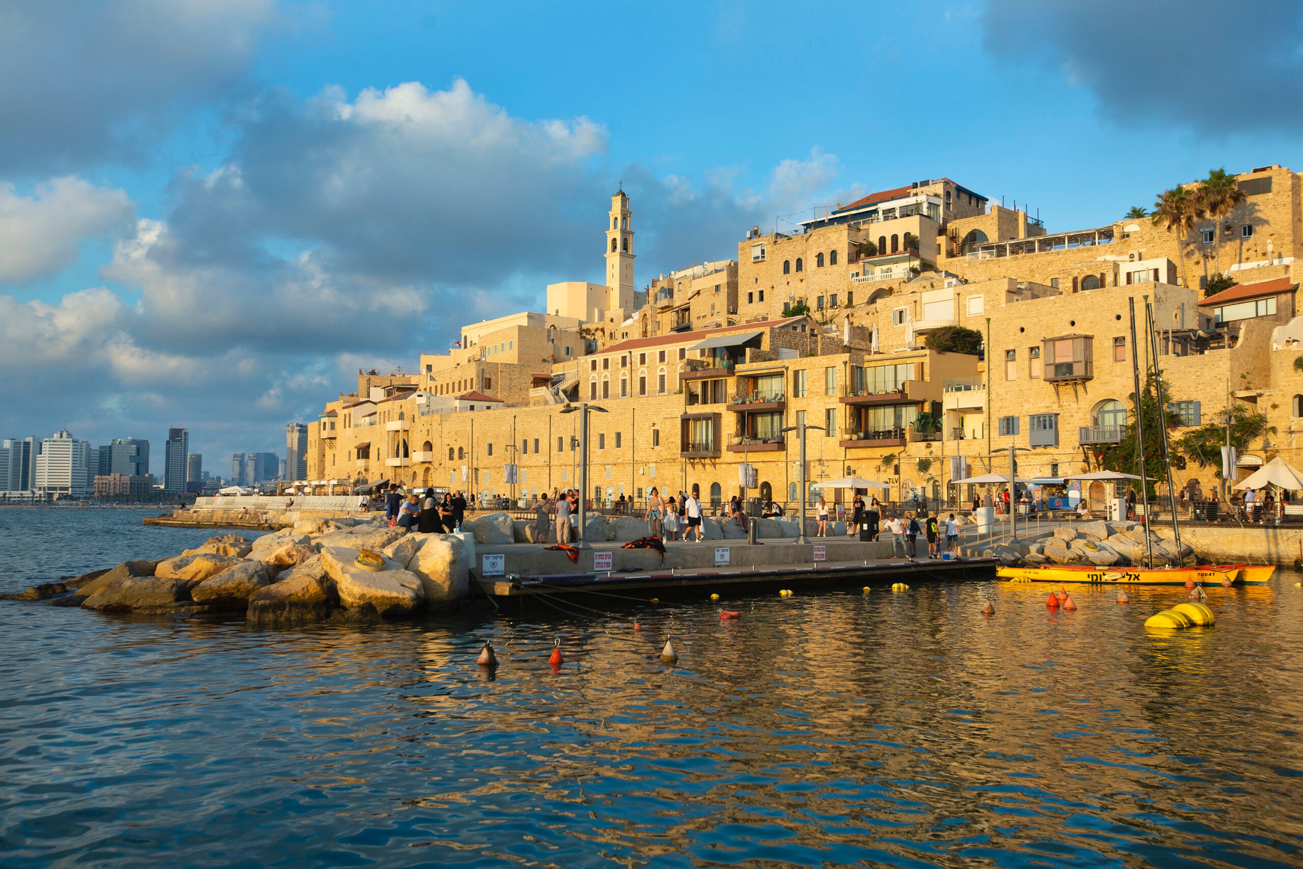 סוכל ניסיון חיסול בלב הארץ. צילום: משה שי, פלאש90 