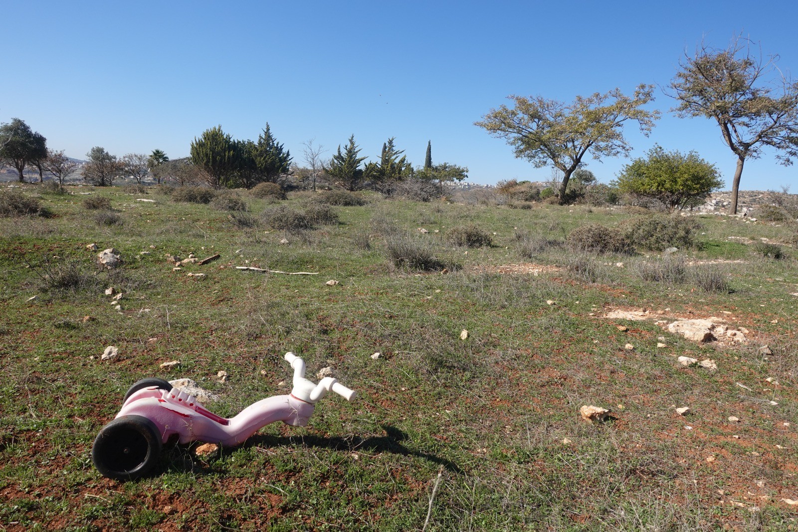 מתכוננים לחזרה למגרון: התושבים שפונו סיירו ביישוב לאחר שהצליחו לרכוש את הקרקע