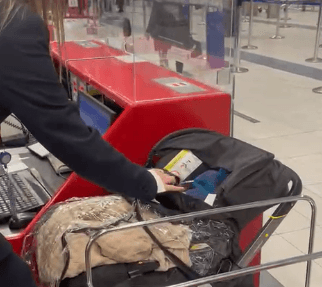זעזוע בנתב"ג: הורים השאירו תינוק בעגלה בצ'ק אין כדי לעלות על טיסה