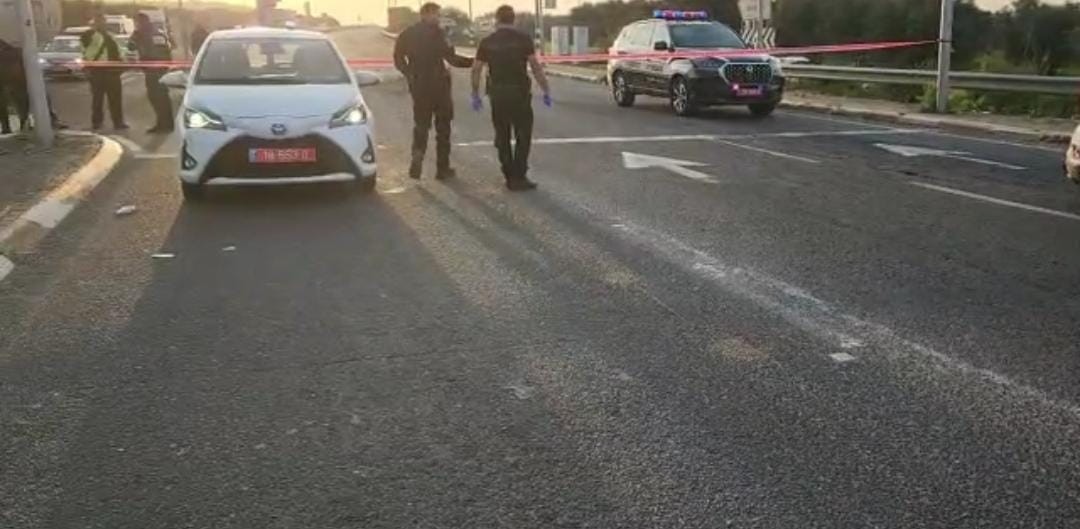 זירת הרצח בכביש 85. צילום: דוברות מד"א