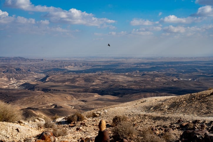 נגב, ארכיון | קרדיט: יניס נדב, פלאש 90