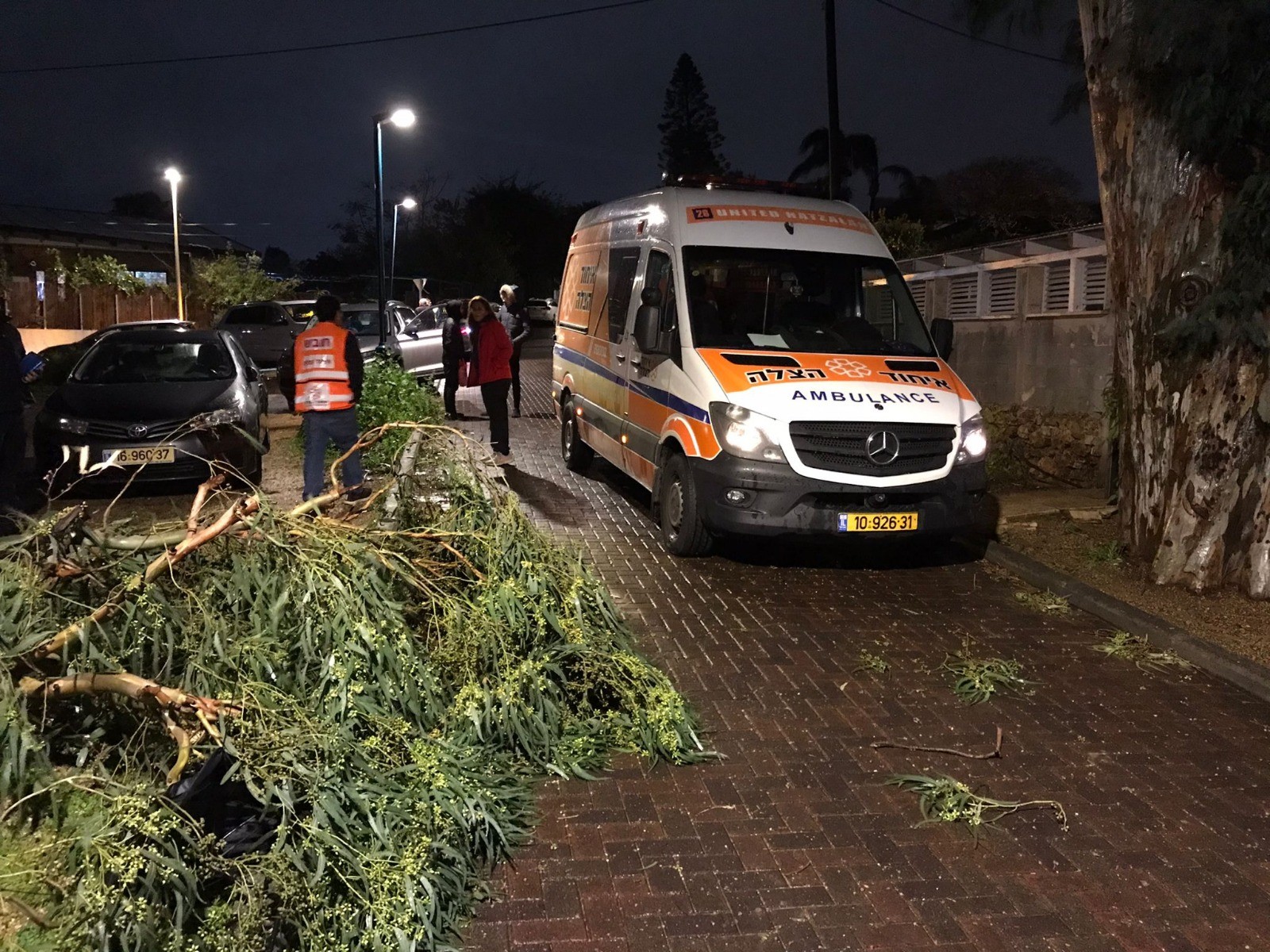 קריסת העץ בתל מונד | קרדיט: תיעוד מבצעי איחוד הצלה