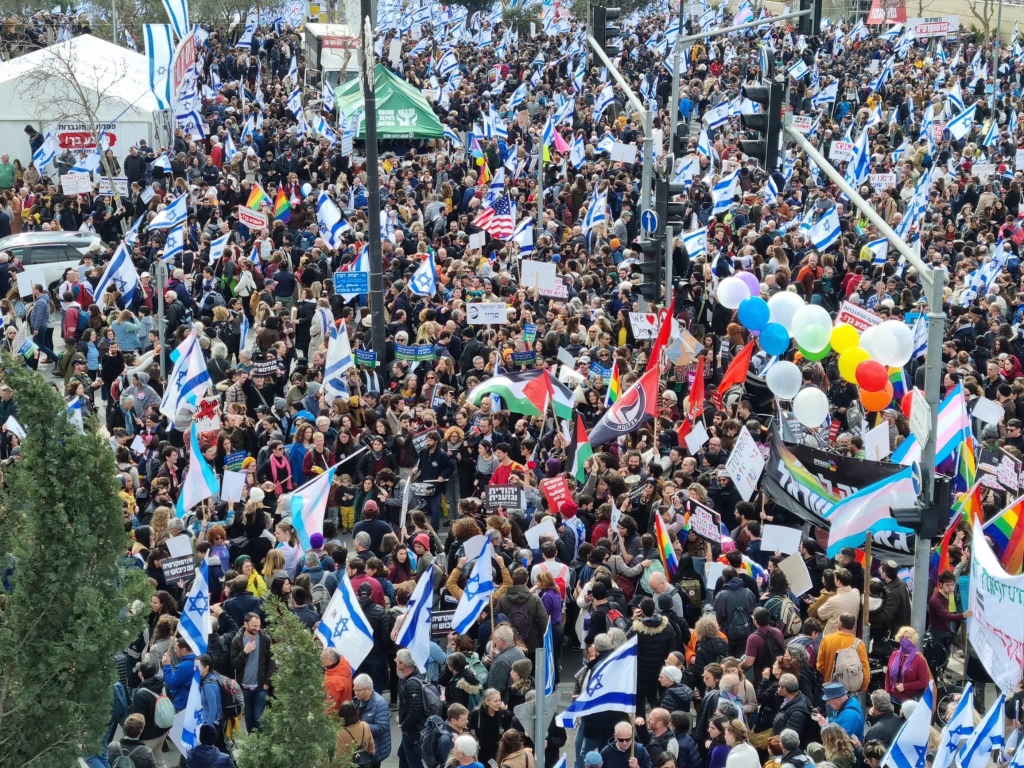 דגלי פלסטין בהפגנת מתנגדי הרפורמה המשפטית | צילום: עתי שלו
