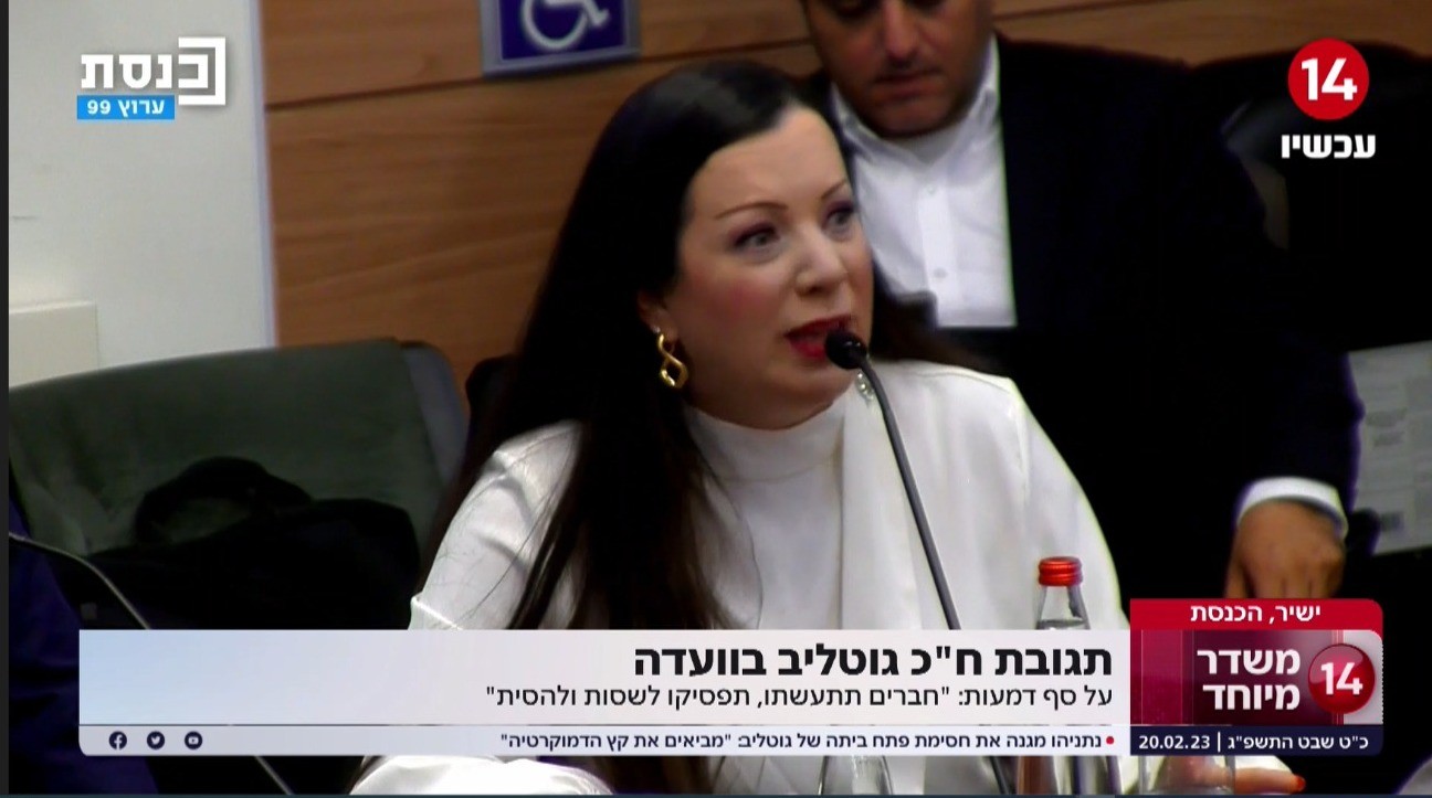 ח"כ טלי גוטליב בוועדת החוקה