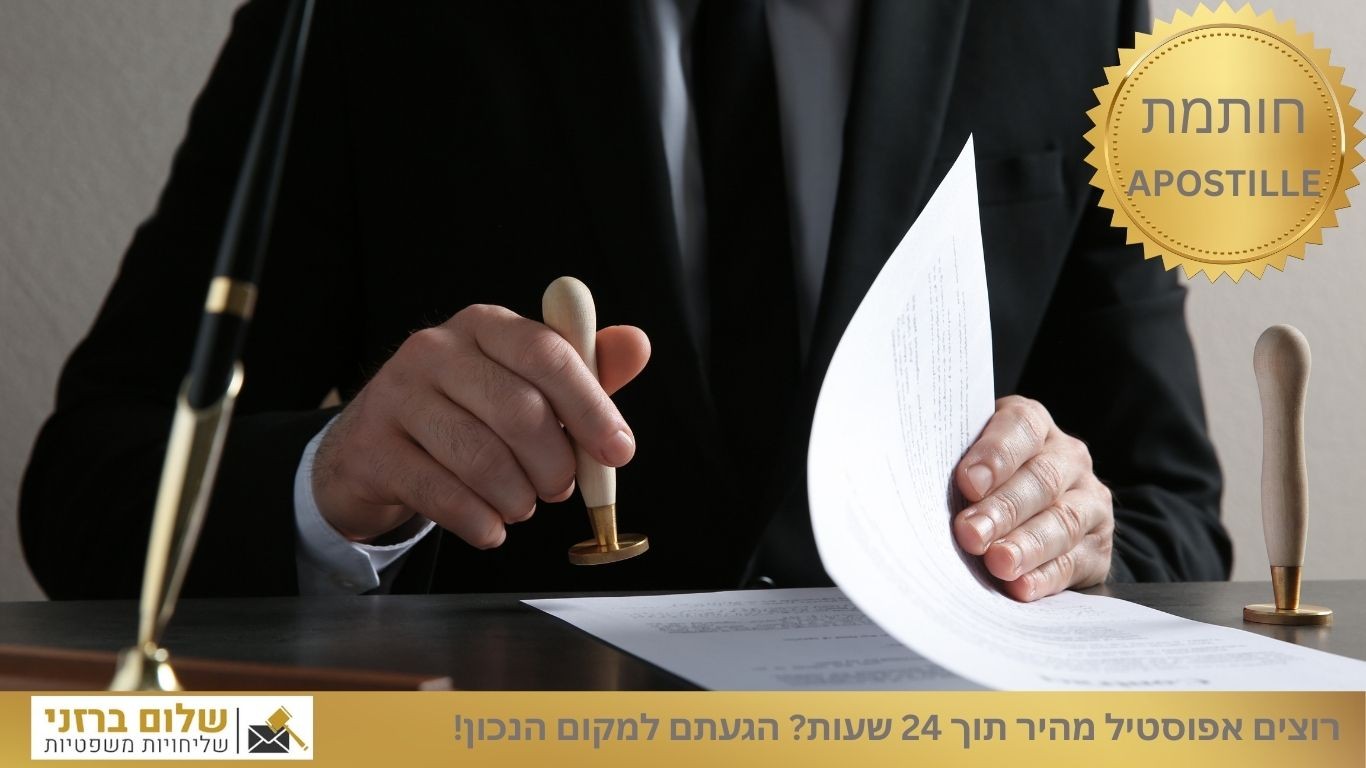   קרדיט:  canva

