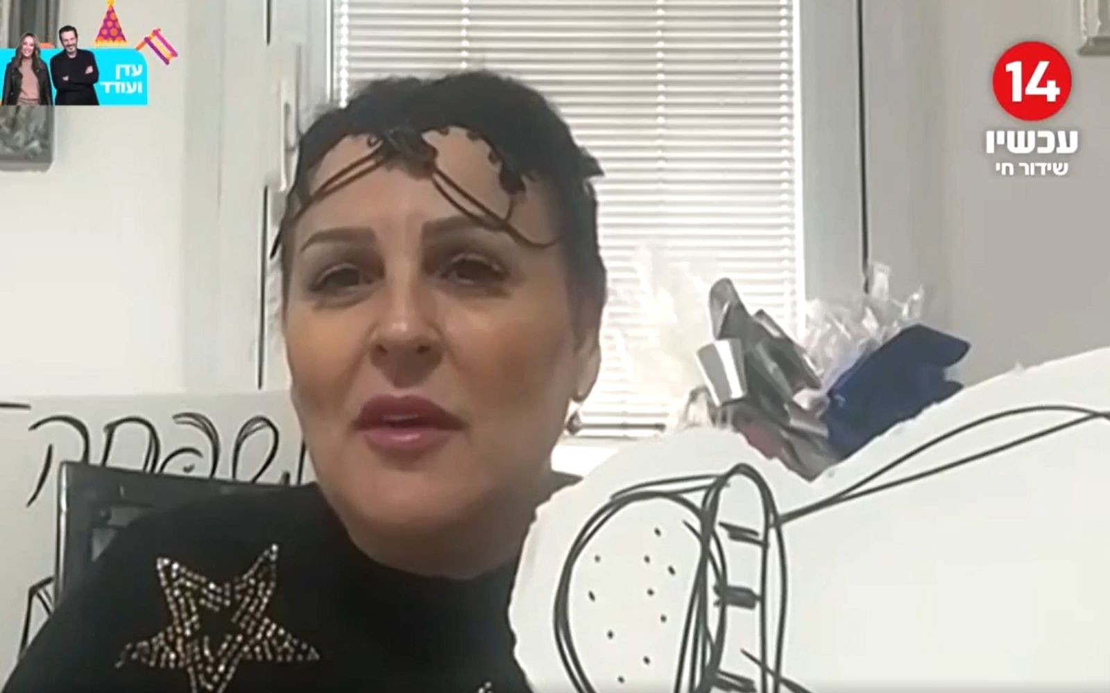ח"כ שטרית מציגה: הדגלים השחורים המתייפייפים | צילום מסך מתוך ערוץ 14 