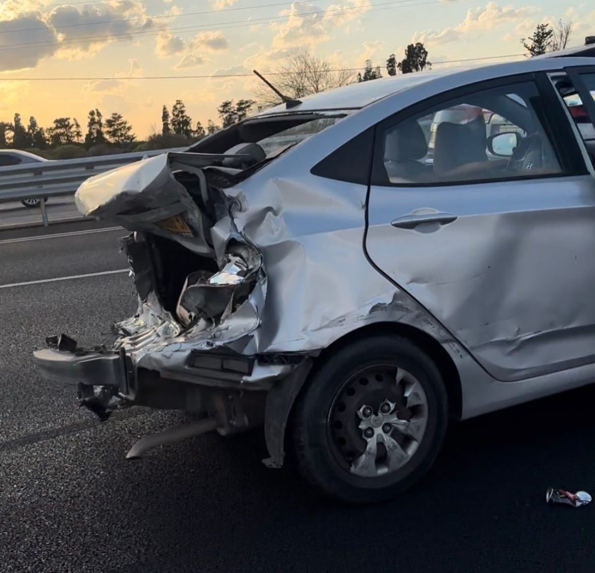 "עשינו סללומים על הכביש": השחקן וכלבו עברו תאונת דרכים - וניצלו בנס