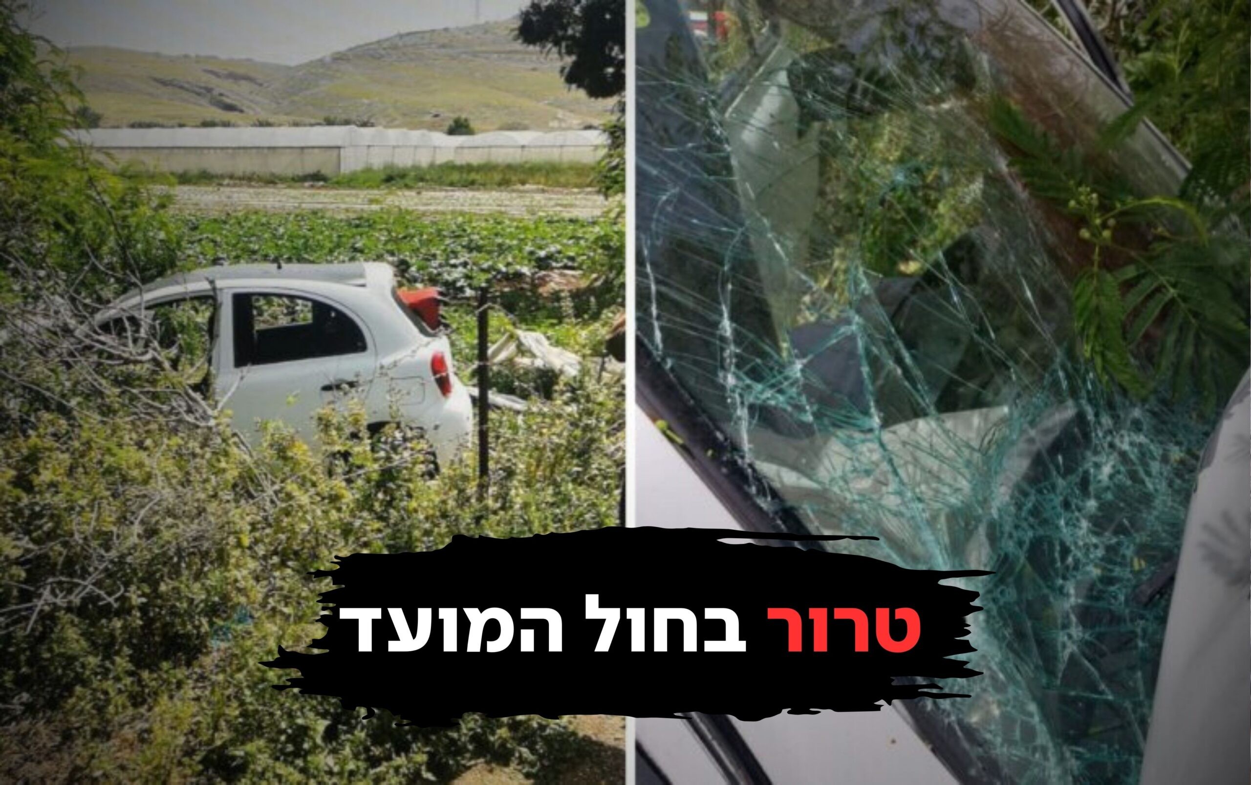 זירת הפיגוע סמוך לחמרה | קרדיט צילום: דוברות כב"ה, מחוז יו"ש