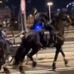 הפרש המשטרתי שהכה פעילת שמאל באיילון זומן לחקירה במח"ש