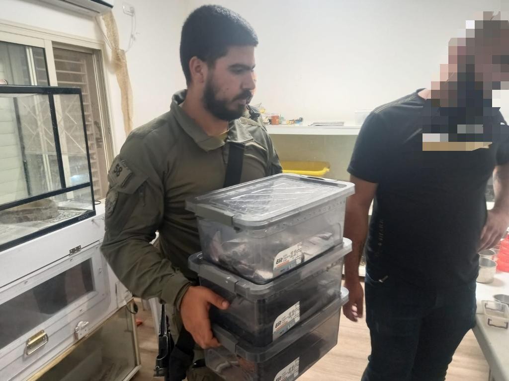 עשרות חיות מוגנות בבית מגורים: חשוד בהברחת ענק נעצר בצפון הארץ