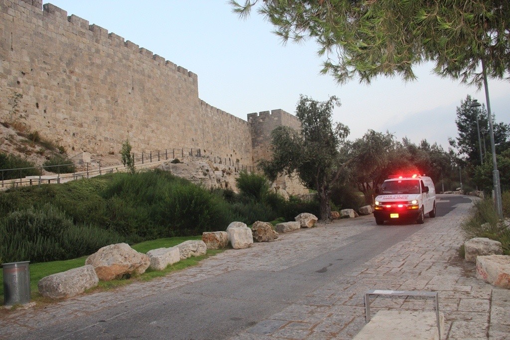 ניידת מד"א, אילוסטרציה | צילום: דוברות מד"א